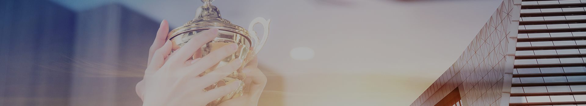 成(cheng)功案例(li)